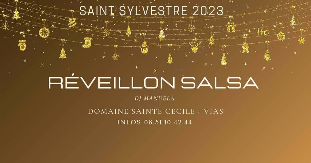 Cover Réveillon Salsa 31 décembre 2022