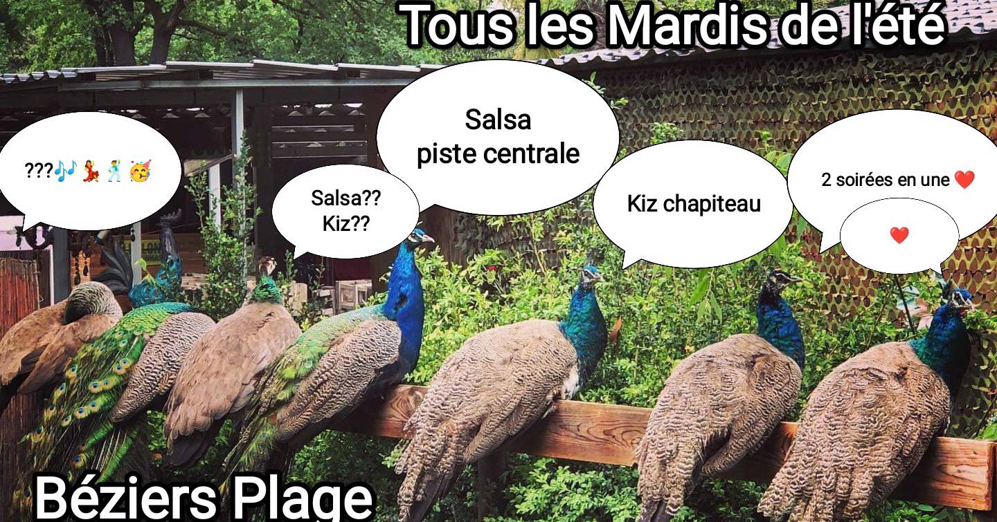 Cover Salsa et Kizomba sur 2 pistes Eté 2022 Béziers Plage
