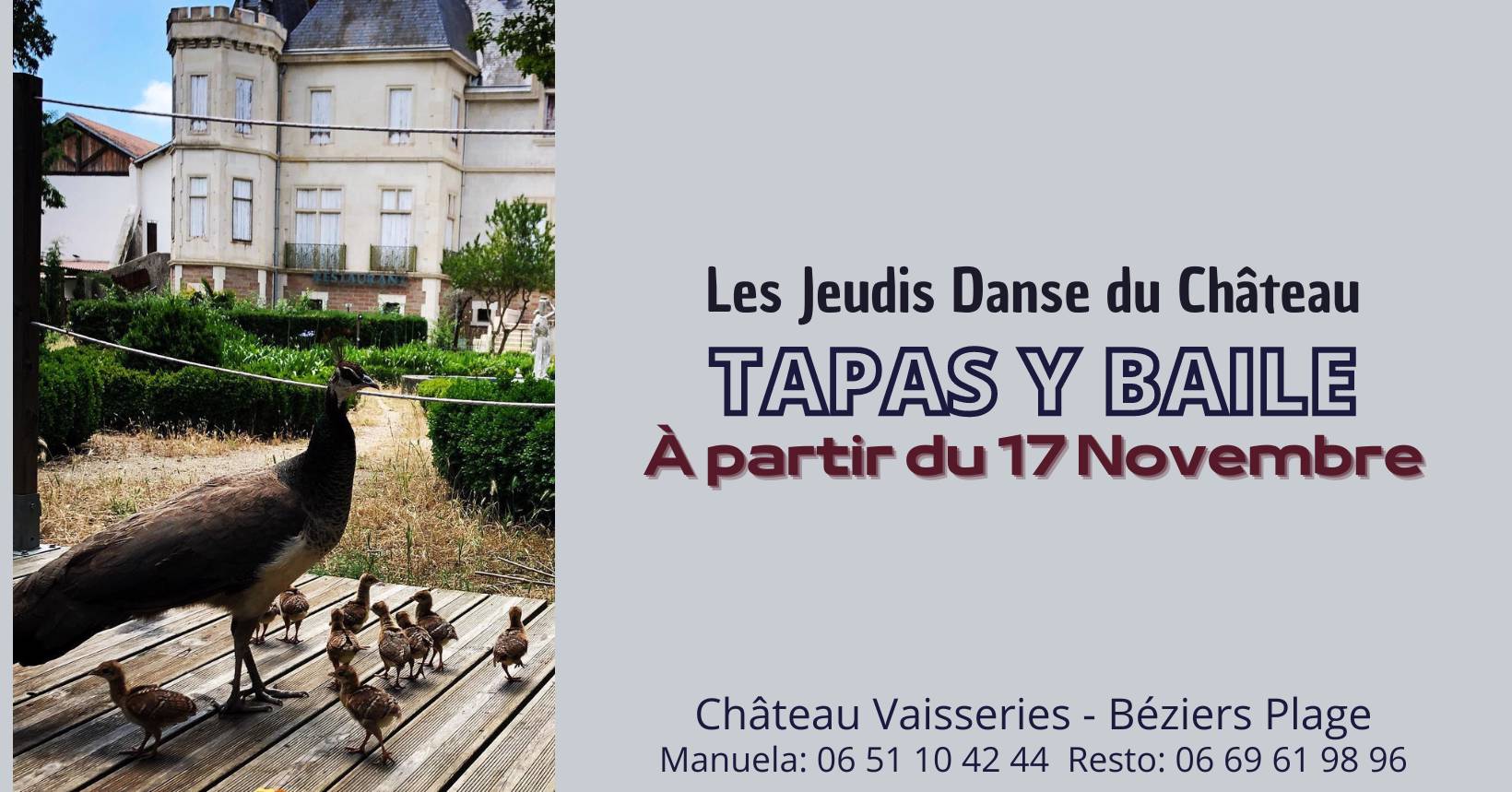 Cover Les jeudis du Château